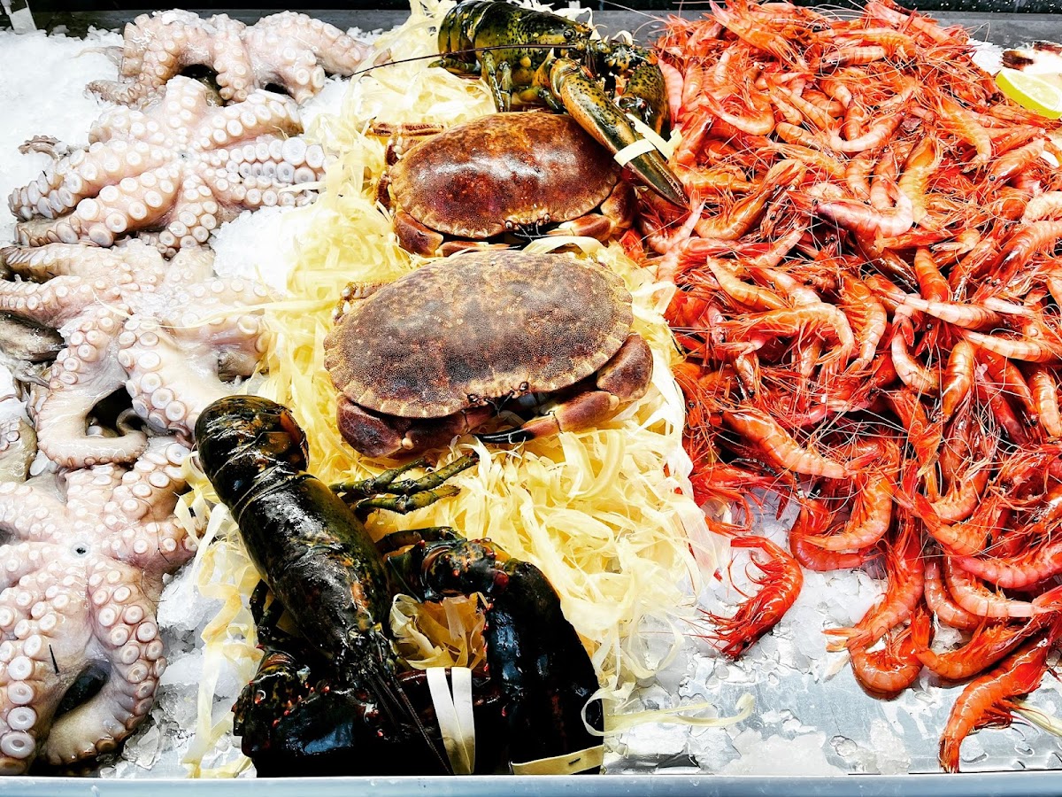 Pescheria 2 ALPIGNANO - 5